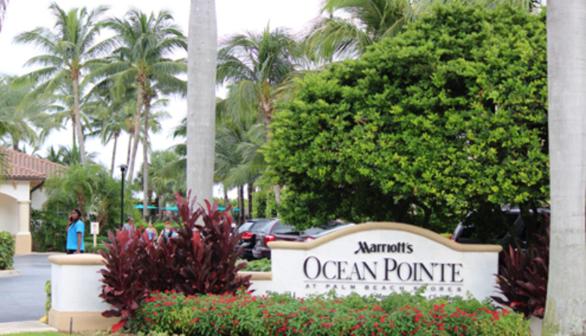 Comercial Plantation Shutters, Hospitality Plantation Shutters, Wholesale plantation shutters